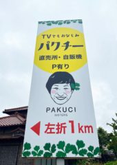 立川 あゆみさんの『PAKUCI SISTERS』のロードサインのデザインをさせていただきました。